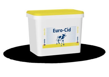 Euro - Cid